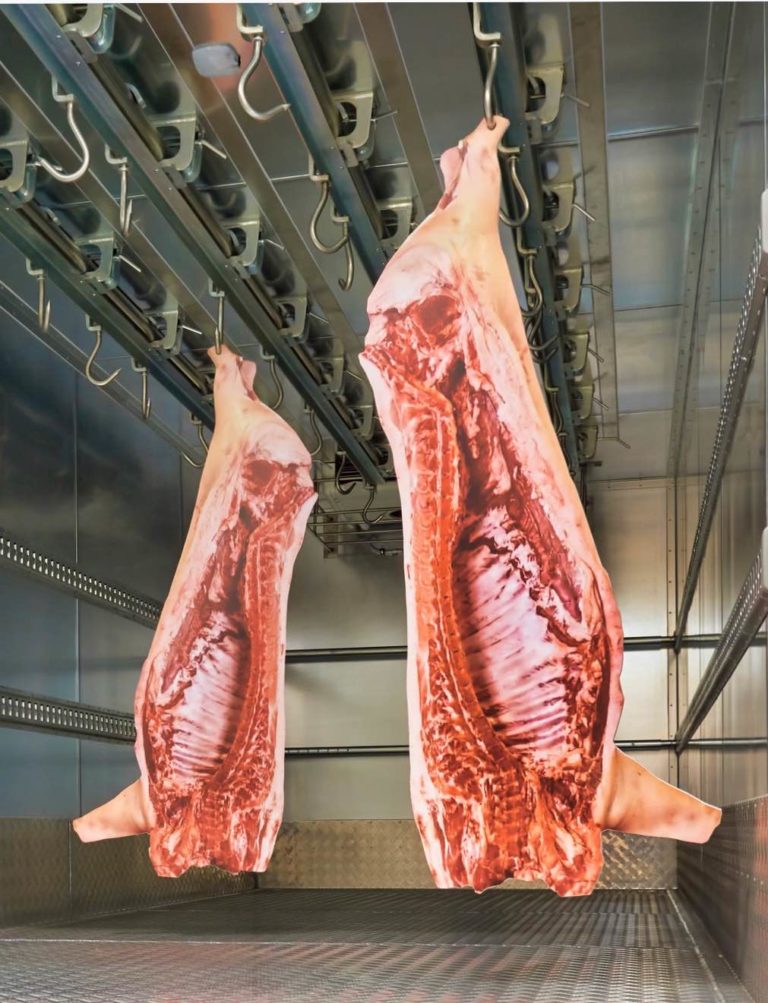 Albury hanging meat transport